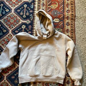 Aritzia Cozy Fleece Perfect Hoodie